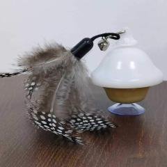 Juguete para Gato con Cuerda Retráctil